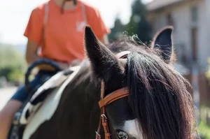sport vitality vendryne slezsko letní tábor letní tábory