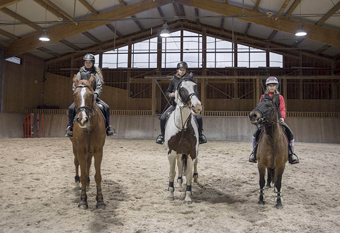 stáj bystřice, sport vitality jezdecký klub, kůň